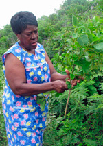 Susilee Anderson on San Salvador Island